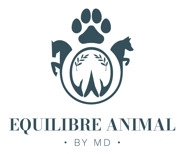 LOGO MD EQUILIBRE ANIMAL_Couleur principale - Bleu moyen logo