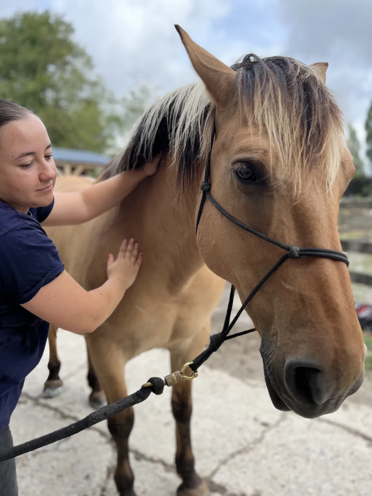 marie-massage-equin-cheval-lorraine-1
