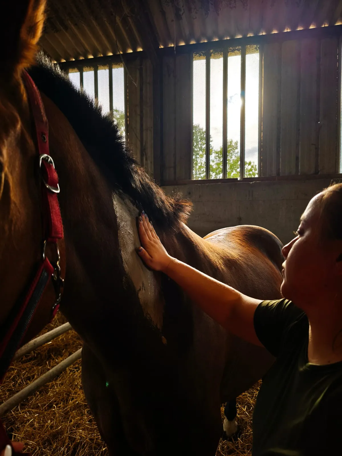 marie-massage-equin-cheval-lorraine
