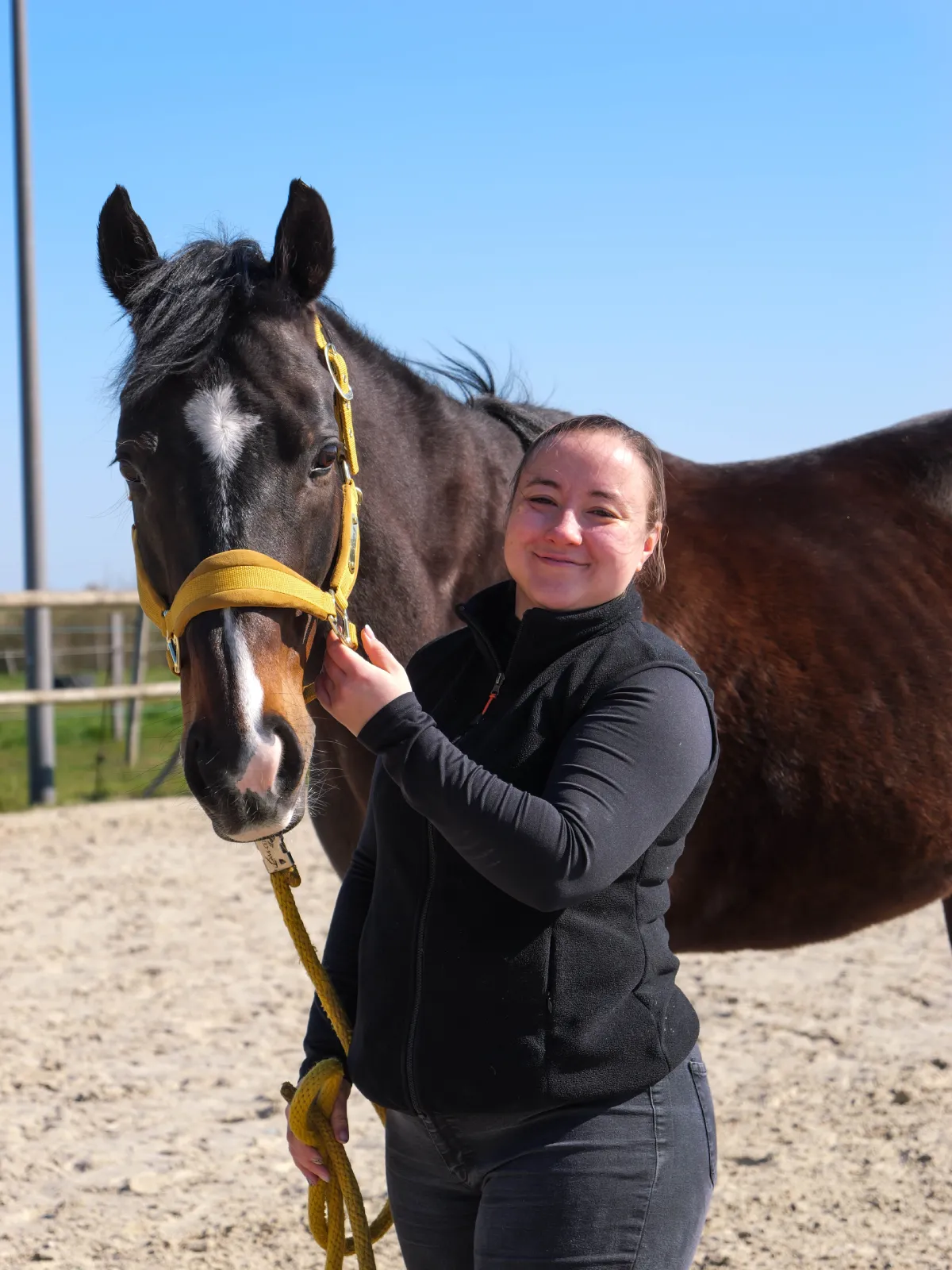 marie-masseuse-equin-lorraine-vosges